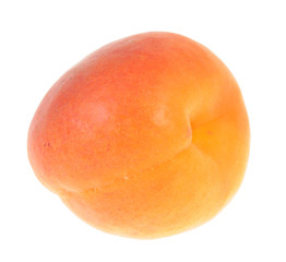 Apricot isolated on white background