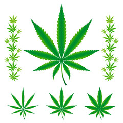 Cannabis / Marijuana / Hemp leafs.