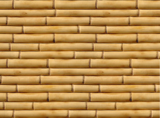 bamboo background