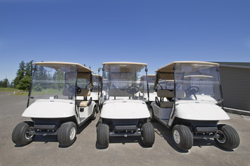 Golf Carts 2