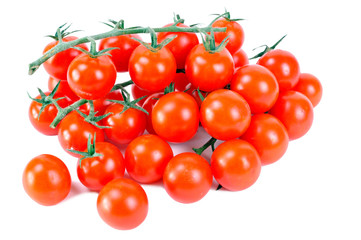 Red cherry tomatoes with mildew on white background