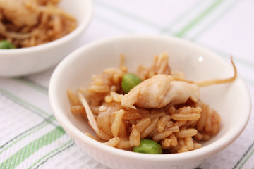 Asiatisches Reisgericht