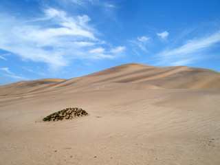 Fototapeta na wymiar desert in Namibia