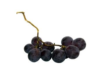 Fruits of a grapes