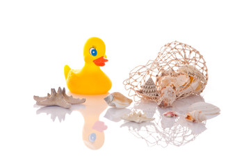 Muscheldekoration und Quietscheentchen