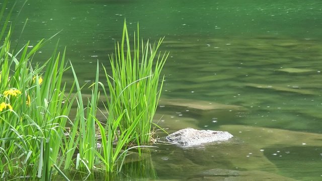Regentropfen Bergsee - Video - Rainy Day at Lake