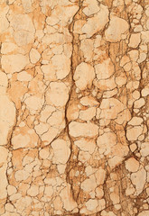 antique marble wall, Florence