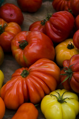 Fototapeta na wymiar Tomates coeur de boeuf