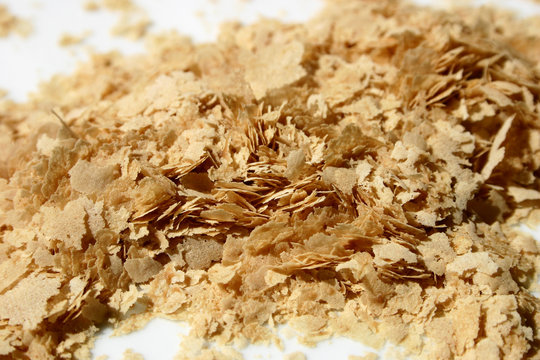 levure de bi&egrave;re