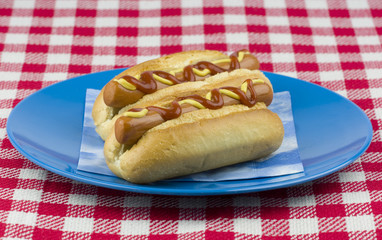 Two hot dogs with mustard and ketchup