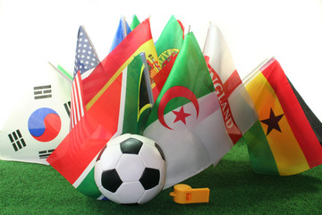 Fußball-WM 2010