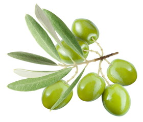 Branch with green olives isolated on white
