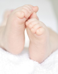 baby's feet - obrazy, fototapety, plakaty