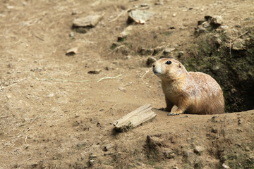 Taking a Look Around