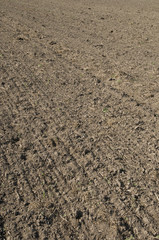 Ackerland,  Nordrhein-Westfalen