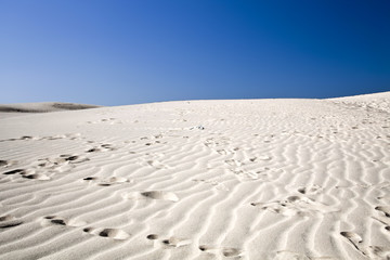 Fototapeta na wymiar Footprint on a desert.