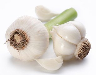 young garlic