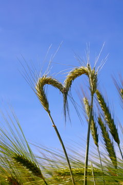 herzlich
