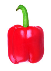 Fresh red sweet pepper