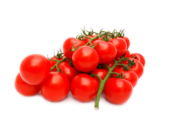 Tomatoes group