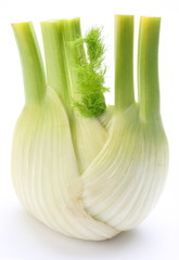 Ripe fennel isolated on a white background.