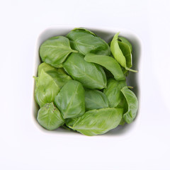 Basil leaves in a small white bowl