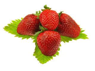 Strawberries on white background