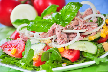 Thunfisch auf Salat