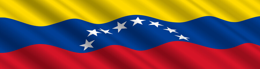 Venezuelan Flag in the Wind