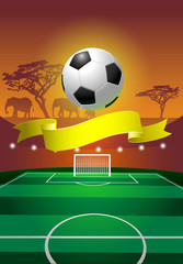 Soccer field