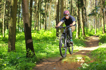 Fototapeta na wymiar Cyclist in forest
