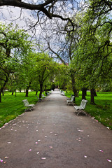 alley with benches