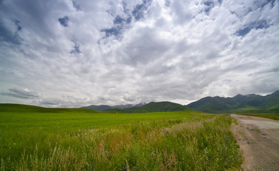 Green field and the road