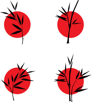 bamboo