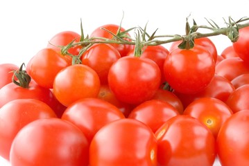 shiny Cherry tomatoes with branch