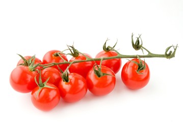 Cherry tomatoes green branch