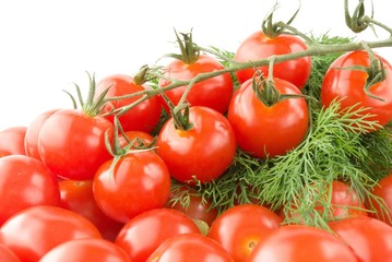 shiny Cherry tomatoes with branch and dill