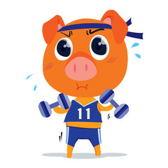 A Pig