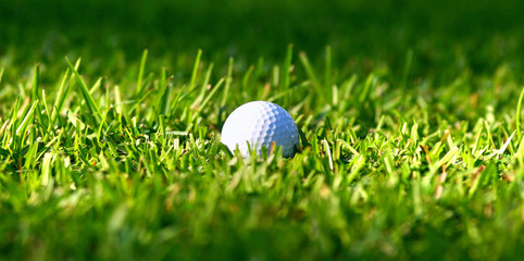 golf ball in grass