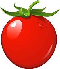 Tomato