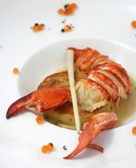 Homard