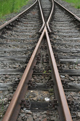 Fototapeta premium Entscheidung