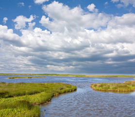 lake scene in nice day