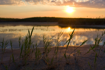 Evening landscape near river