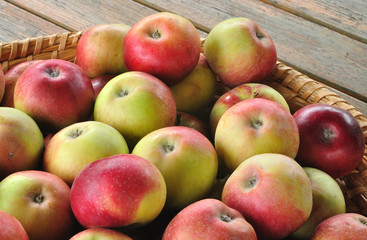 Apples