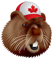 Canadian beaver © Ievgen Melamud