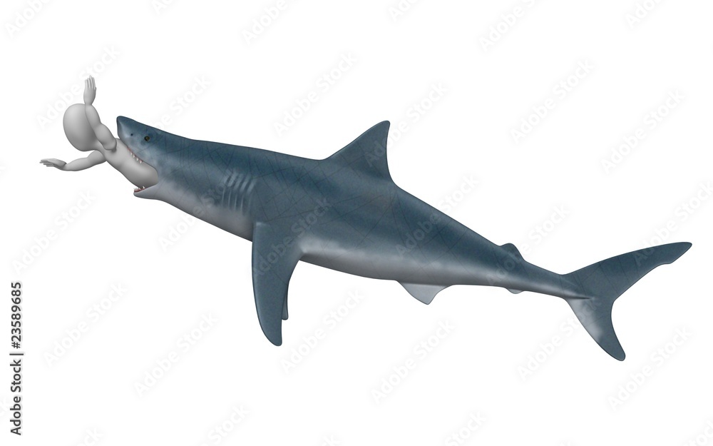 Wall mural shark