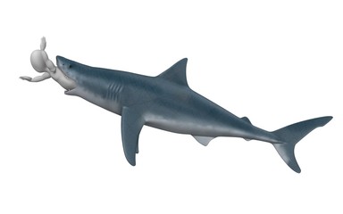 shark