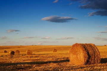 Farmers field full of hay bales