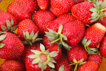 Strawberries in a colander